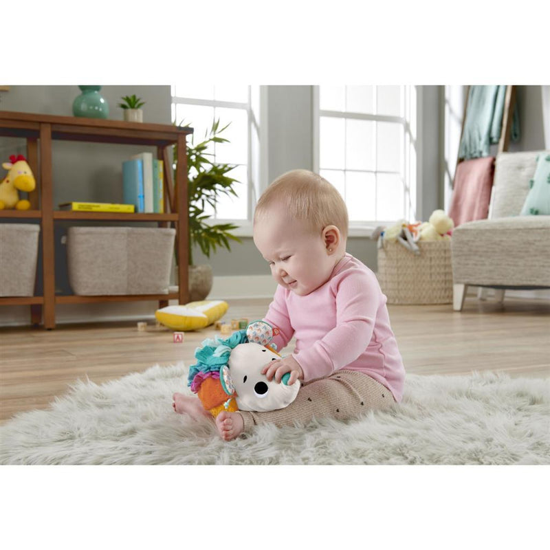 Fisher Price Cuddle and Snuggle Knuffel Egel