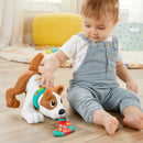 Fisher Price 123 Mon Chiot Rampe Avec Moi Franstalig