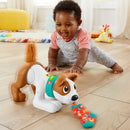 Fisher Price 123 Mon Chiot Rampe Avec Moi Franstalig