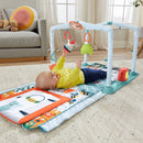 Fisher Price Cozy Cottage Gym + Licht en Geluid