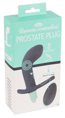 RemoteControlled Prostate Plug