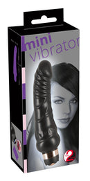 Mini Vibrator Black