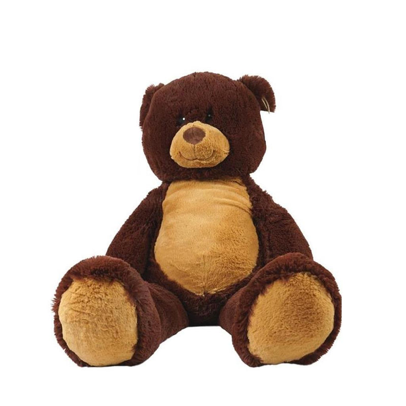 Pluche Knuffelbeer 100 cm Assorti