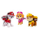 Paw Patrol Action Pack 3 Pups Rockyen Zuma en Chase