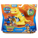 Paw Patrol Dino Rescue Pup en Dino Verschillende Uitvoeringen