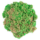 Kinetic Sand Zeeschelp 127 gr