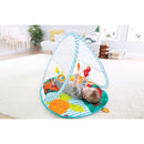 Fisher Price Draagbare Gym + 4 Speeltjes