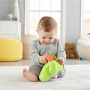 Fisher Price Peek A Boo Knuffeldoekje Assorti