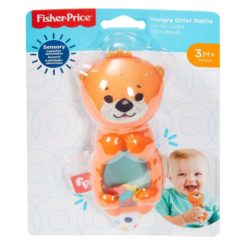 Fisher Price Sensory Figuur