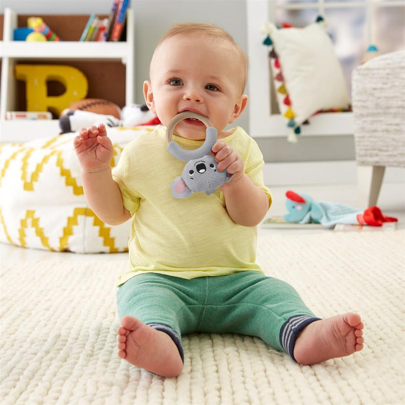 Fisher Price Koala Bijtspeeltje