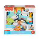 Fisher Price Leeuw Muziek-Ligkussen