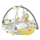 Fisher Price Snugamonkey Go Bananas Gym + Licht en Geluid