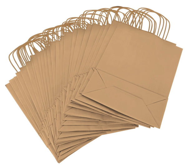 Paper Bag brown Pack of 250