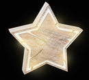 Compact Light-Up Star Tree Pit Ontwerp