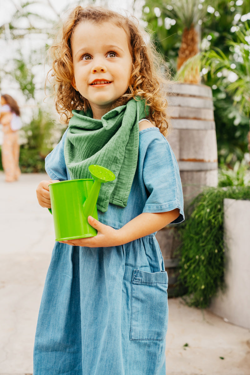 Plant and Garden Set