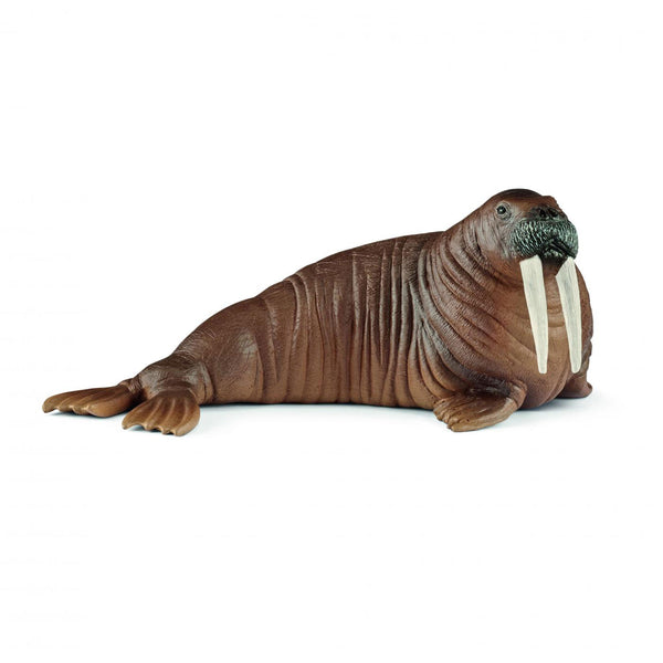 Schleich Walrus