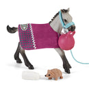 schleich HORSE CLUB Speelplezier Met Veulen 42534