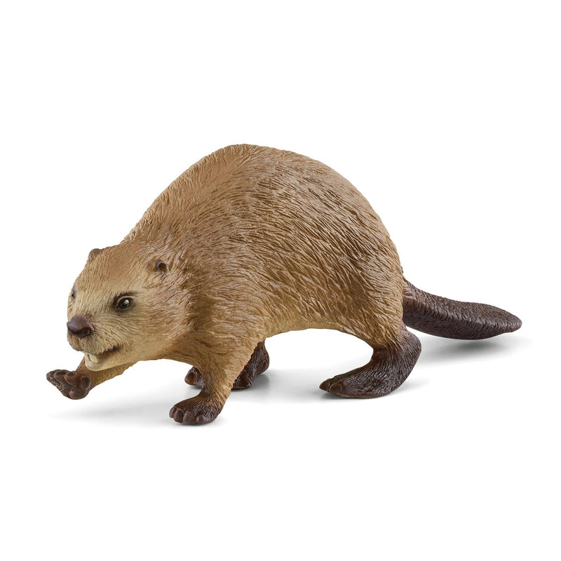 schleich WILD LIFE Bever 14855