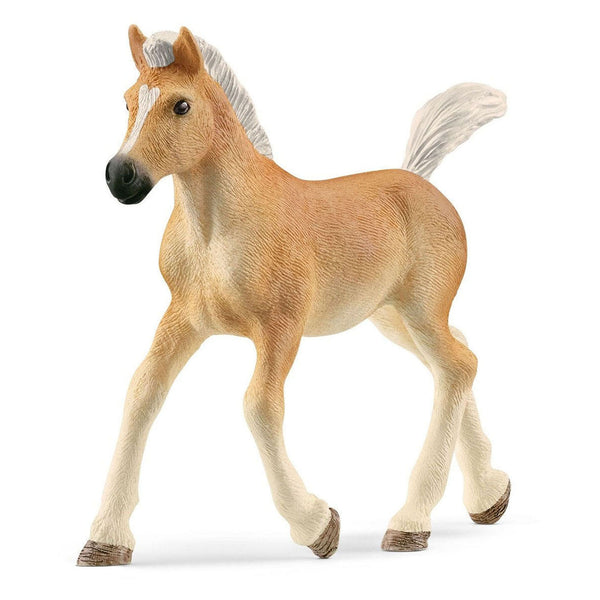 Schleich Haflinger Veulen