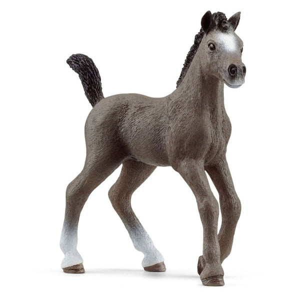 Schleich Horse Club Selle Fran&ccedil;ais Veulen