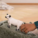 Schleich Galloway Koe