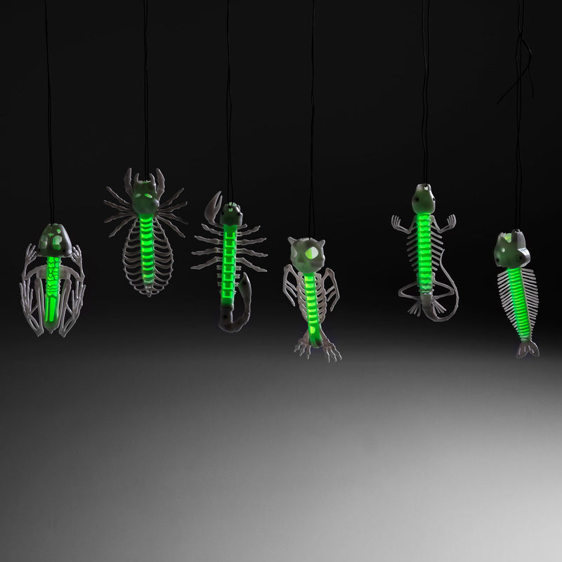 Glow in the Dark Skelet