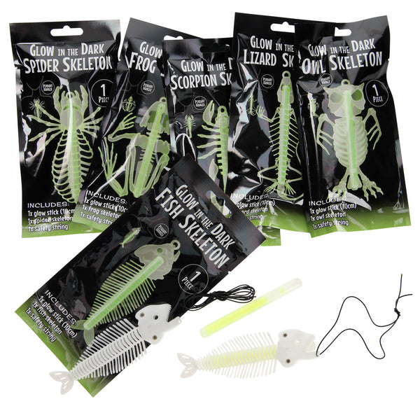 Glow in the Dark Skelet