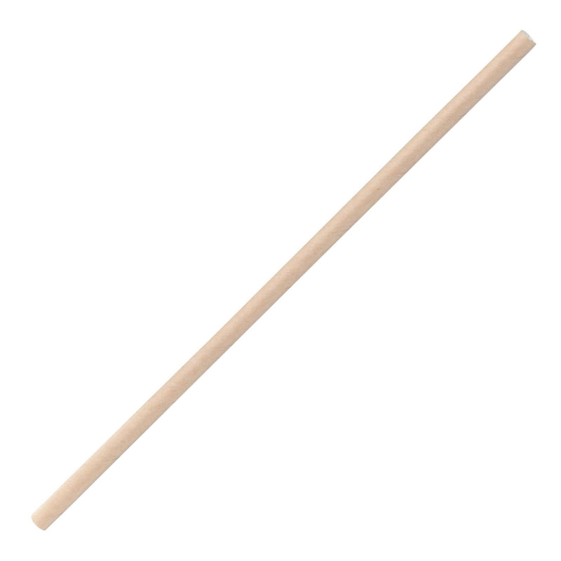 Afbreekbare Rietjes Papier, 100st.