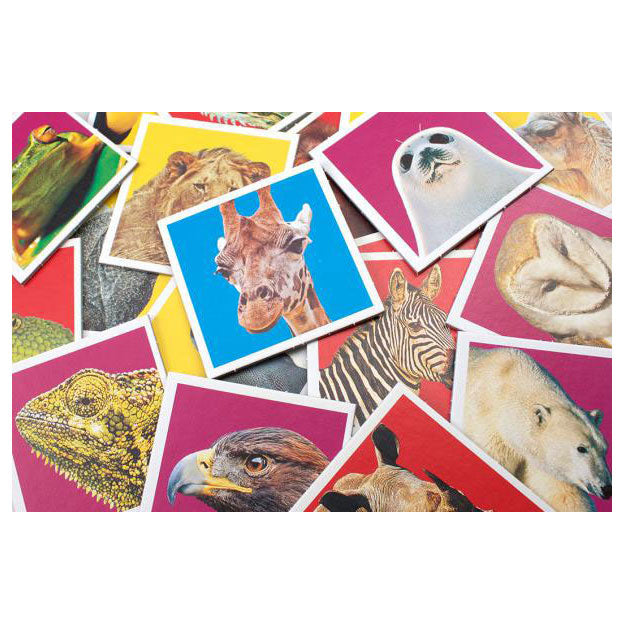 Wildlife Memo