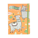 Pocket Kleur- en Spelletjesboek