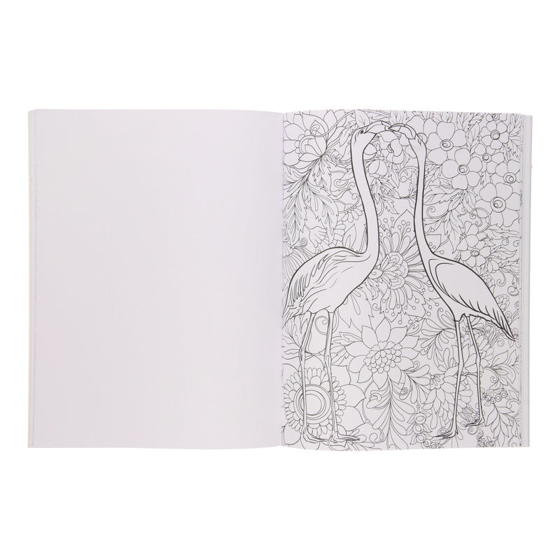 Kleurboek Birds