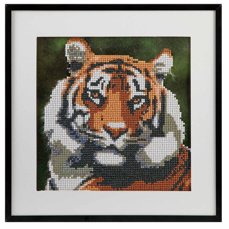 Diamond Painting - Tijger, 30x30cm