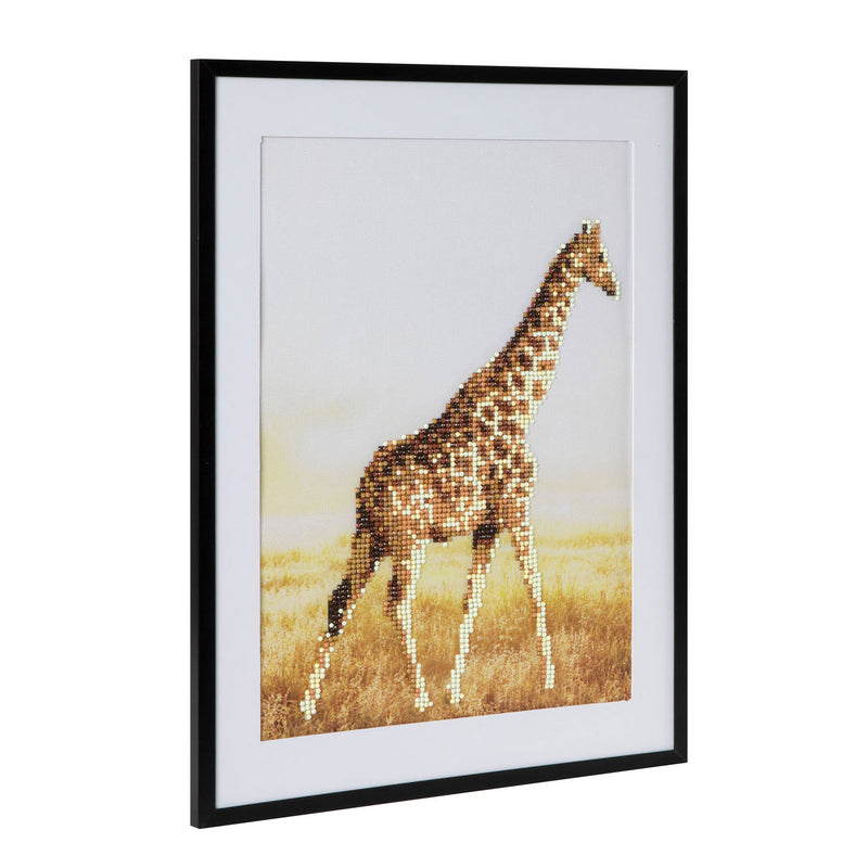 Diamond Painting Giraffe 30x40 cm