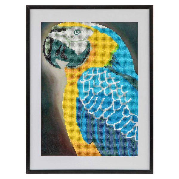 Diamond Painting - Papegaai, 30x40cm