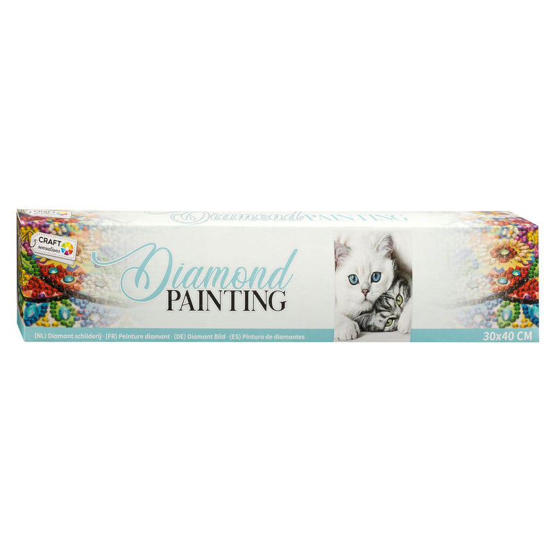 Diamond Painting - Katten, 30x40cm