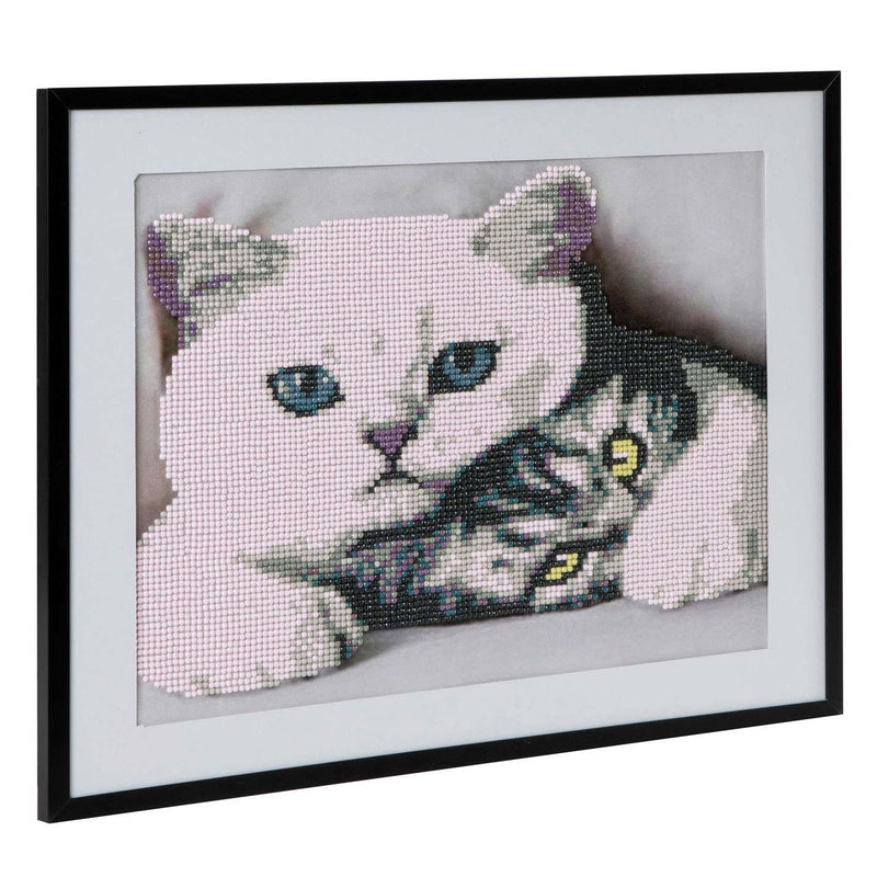 Diamond Painting - Katten, 30x40cm