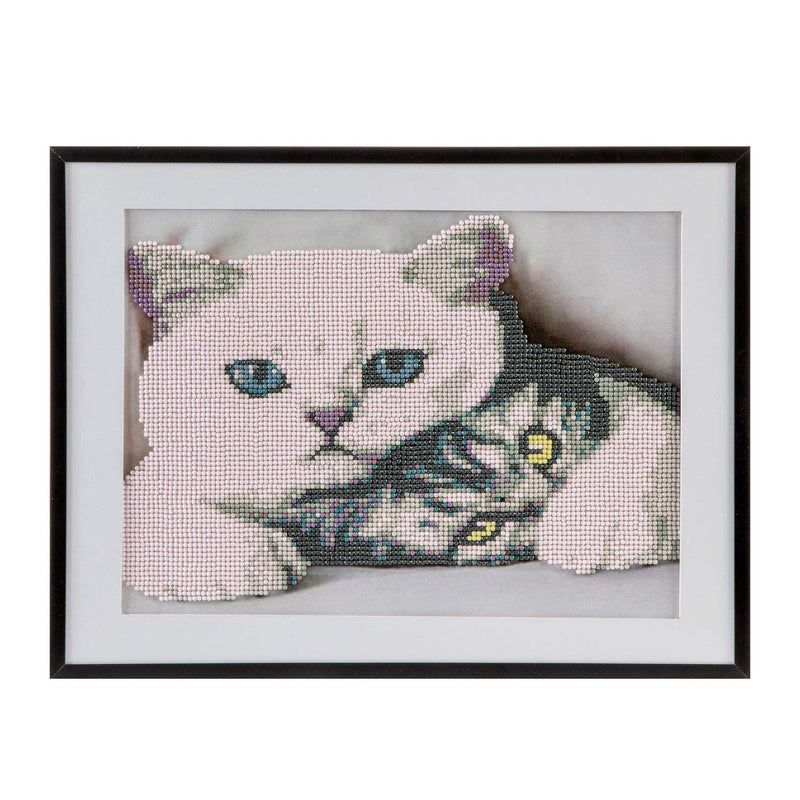 Diamond Painting - Katten, 30x40cm
