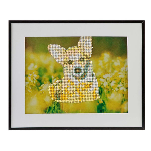 Diamond Painting - Honden, 40x50cm