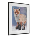 Diamond Painting Vos