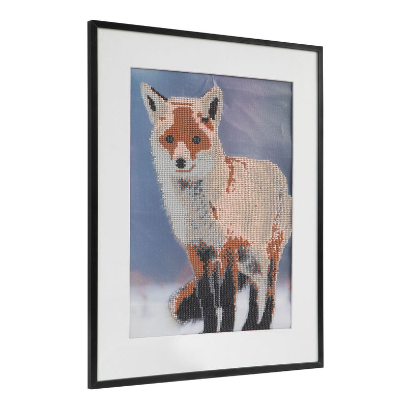 Diamond Painting Vos