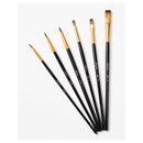 Nassau Penselenset, 6dlg.