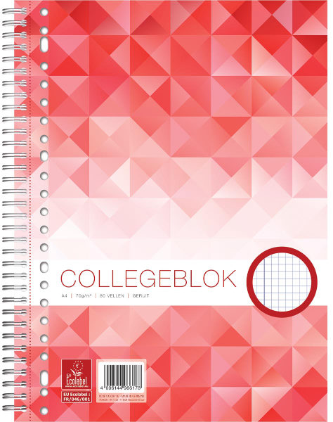 Collegeblok Work A4 ruit 5mm 1058107