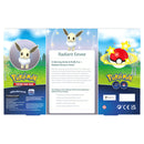 Pokémon TCG GO Premium Collection Radiant Eevee
