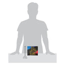 Pokemon TCG Crown Zenith Elite Trainer Box