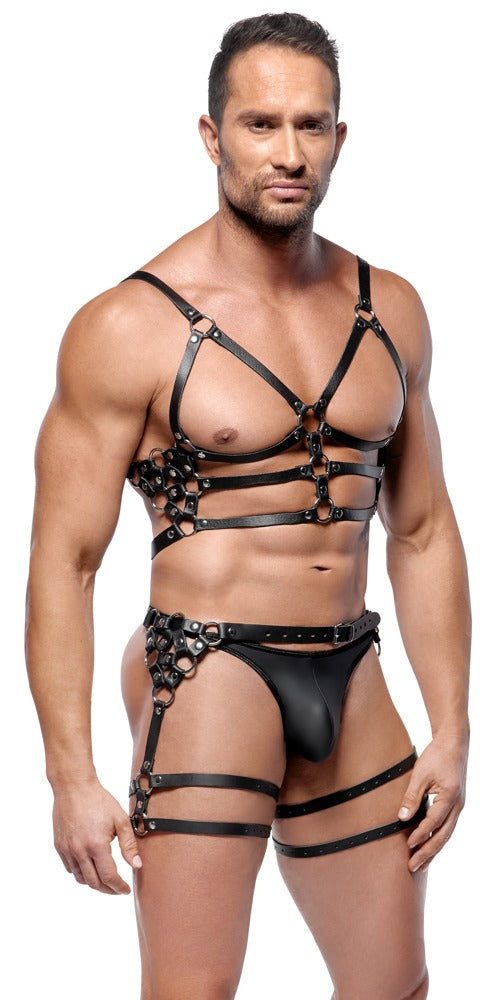 Leather Harness Set M/L