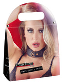 Leather Collar and Leash gold