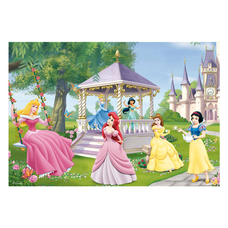 Disney Prinsessen, 2x24st.