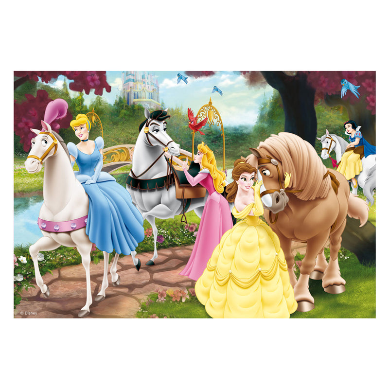 Disney Prinsessen, 2x24st.