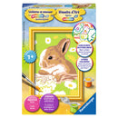 Schilderen op nummer Serie F Konijn Vlekkie