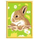 Schilderen op nummer Serie F Konijn Vlekkie